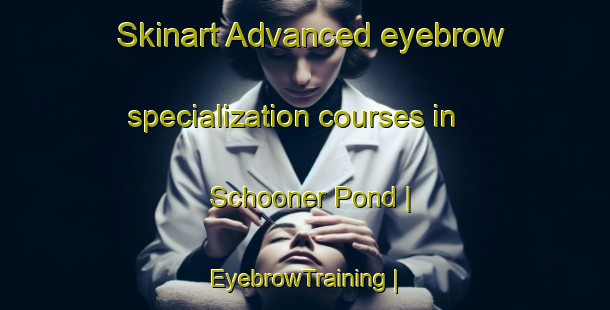 Skinart Advanced eyebrow specialization courses in Schooner Pond | EyebrowTraining | EyebrowClasses | SkinartTraining-Canada